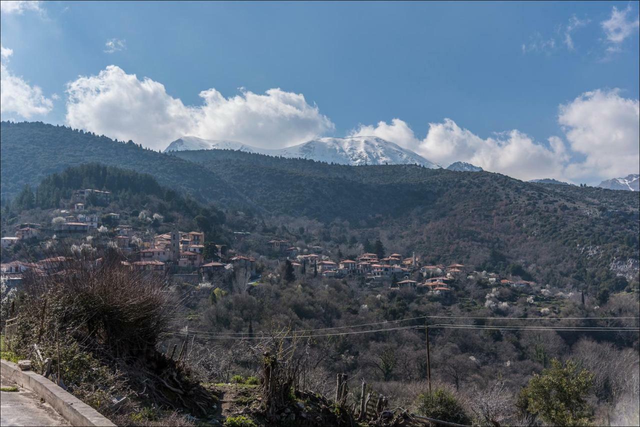Stone Mansion Anavryti, Αμα 20569 Villa Misztrász Kültér fotó